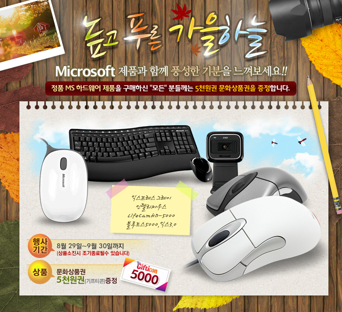 대원소프트 이미지