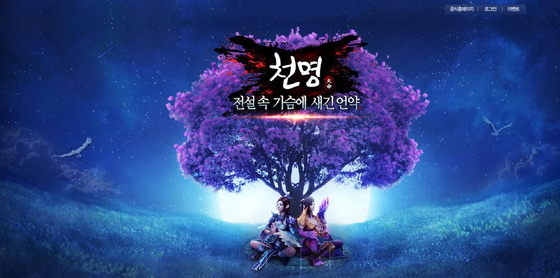 와우브레인 이미지