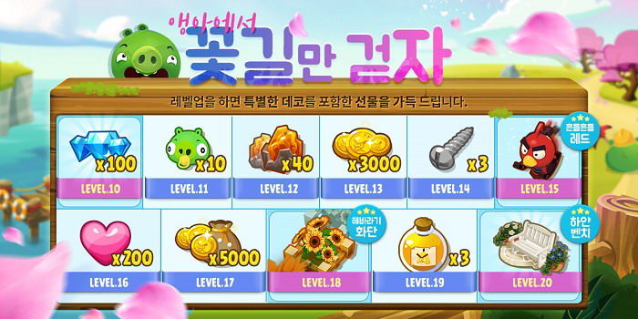 버드아일랜드 이미지
