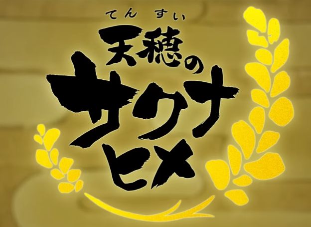 천수의 사쿠나히메, TV 애니메이션 발표