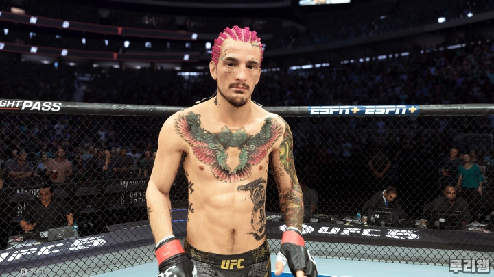 data/news24/10m/27/ps5/ruliweb_ufc_11s.jpg