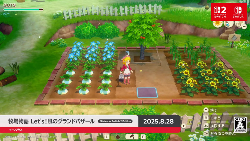 data/news26/07m/31/multi/s_n67.jpg